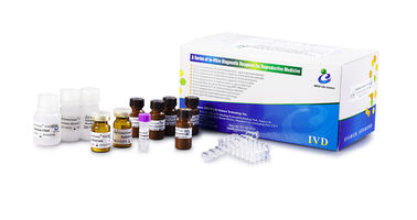 Seminal Plasma NAG-kit voor het evalueren van de secretoire functie van de mannelijke epididymis