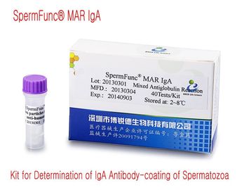 40T/Kit mannelijke diagnostische kit voor bepaling van IgA-antilichaamcoating van spermatozoa