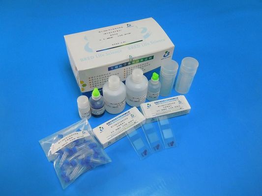 Wright Vlek Sperma DNA Fragmentatie Test Kit met SCD-methode voor 40 tests/Kit in Andrologie Labs